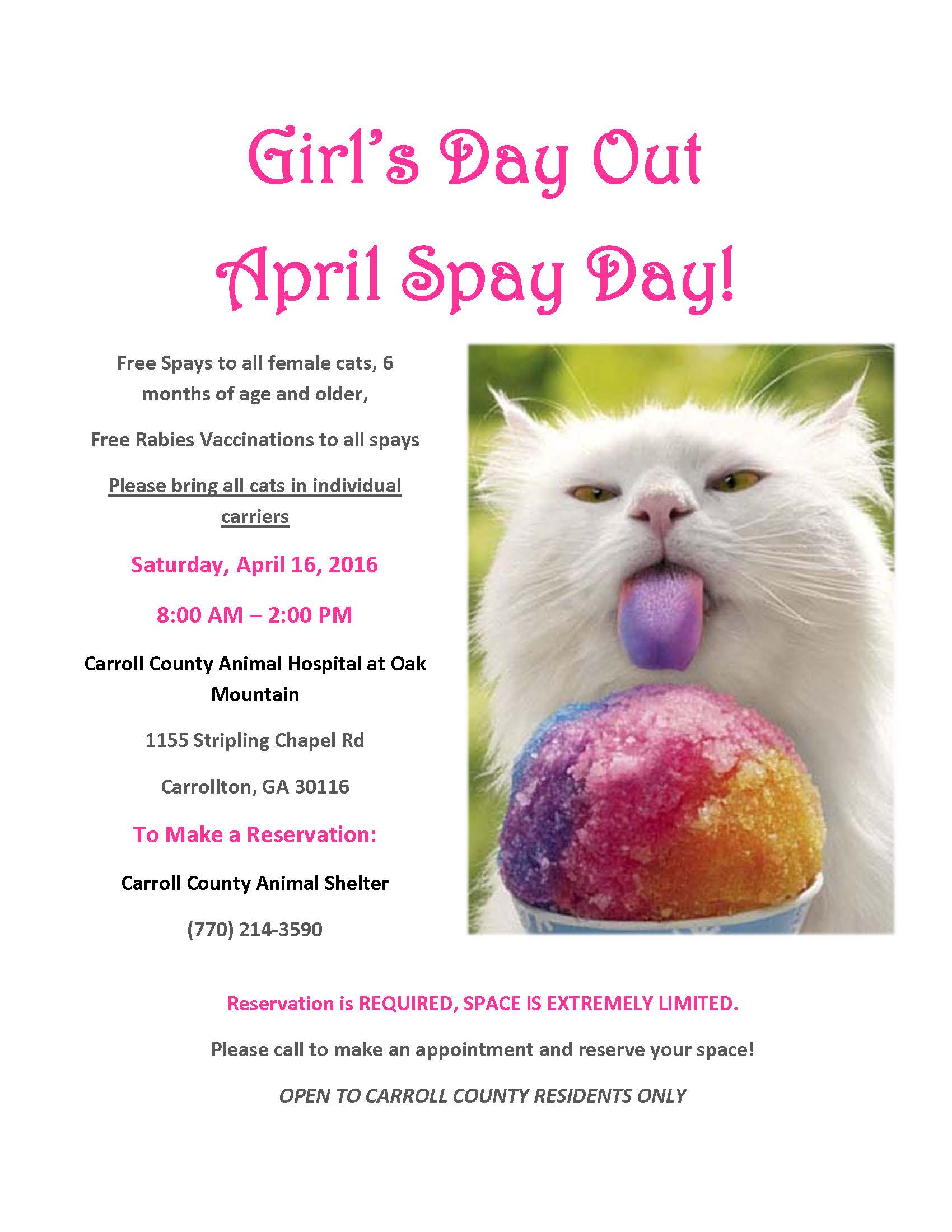 Girls Day Out - April Spay Day.jpg